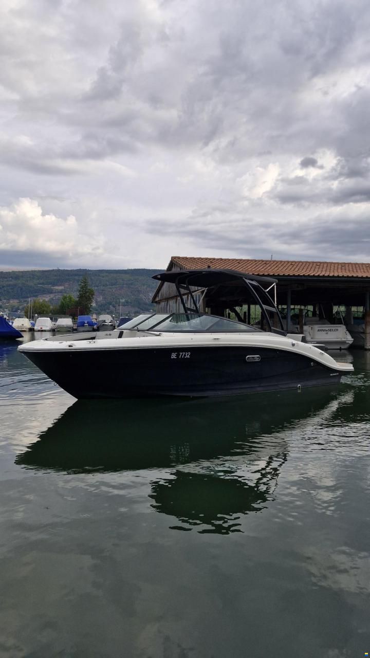 Sea Ray SPX 210