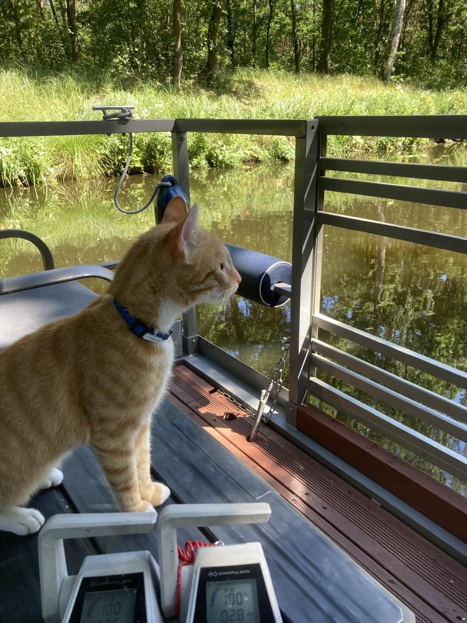 Klunder Solarhausboot, trailerbar
