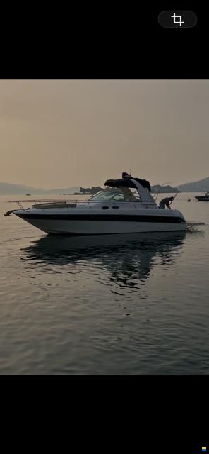 Sea Ray 310