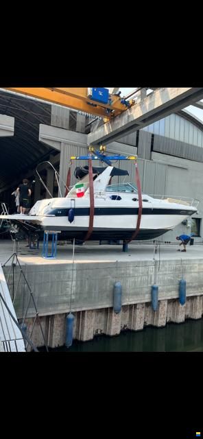 Sea Ray 310