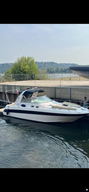 Sea Ray 310
