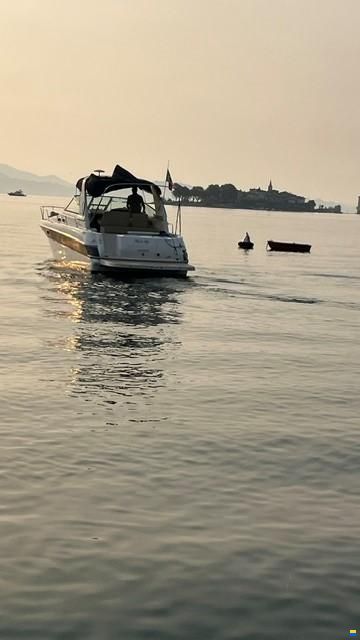 Sea Ray 310