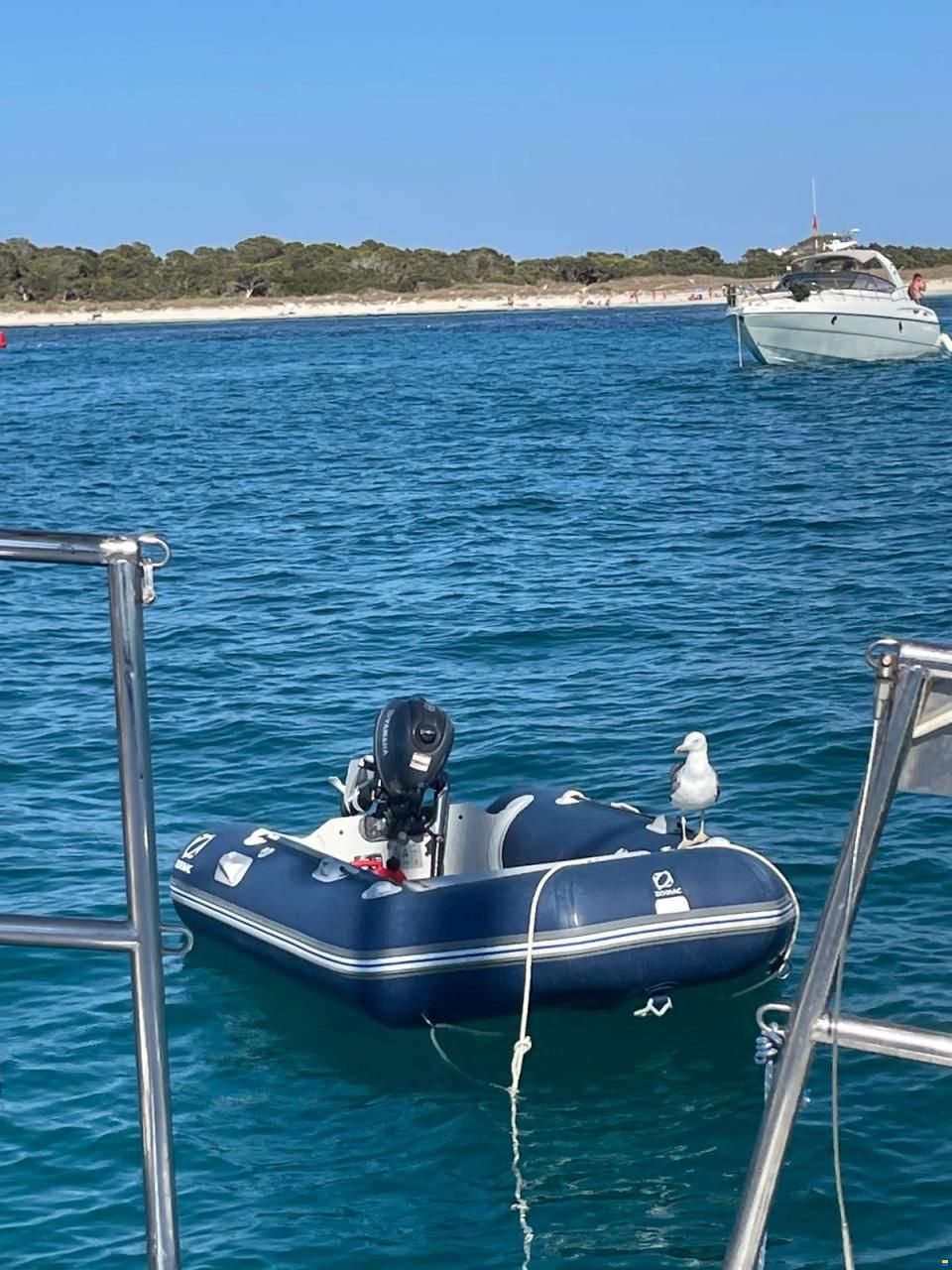 North Wind Mistral 40