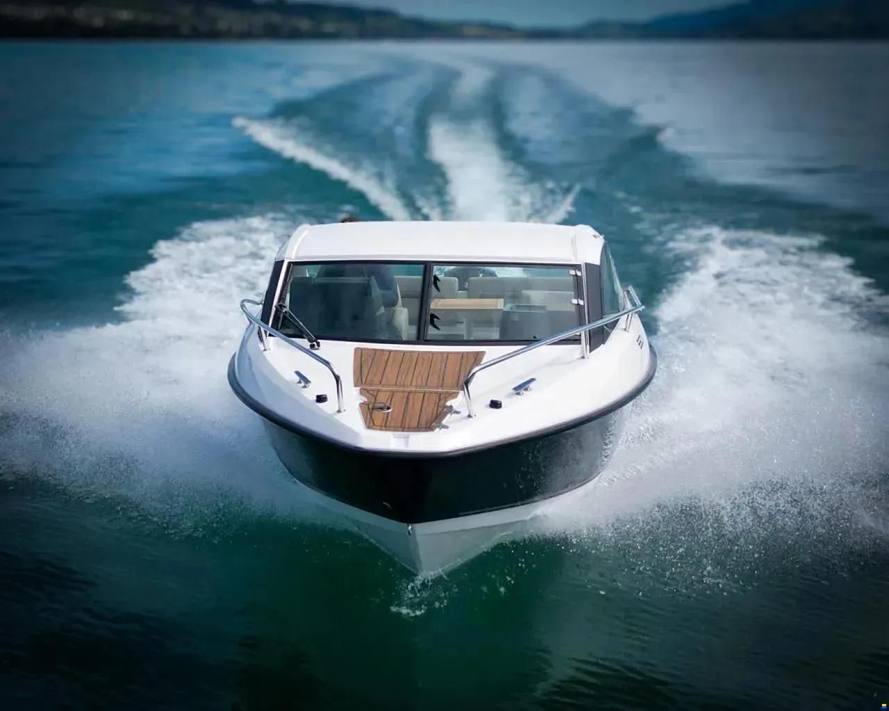 Flipper 650 Sport Top