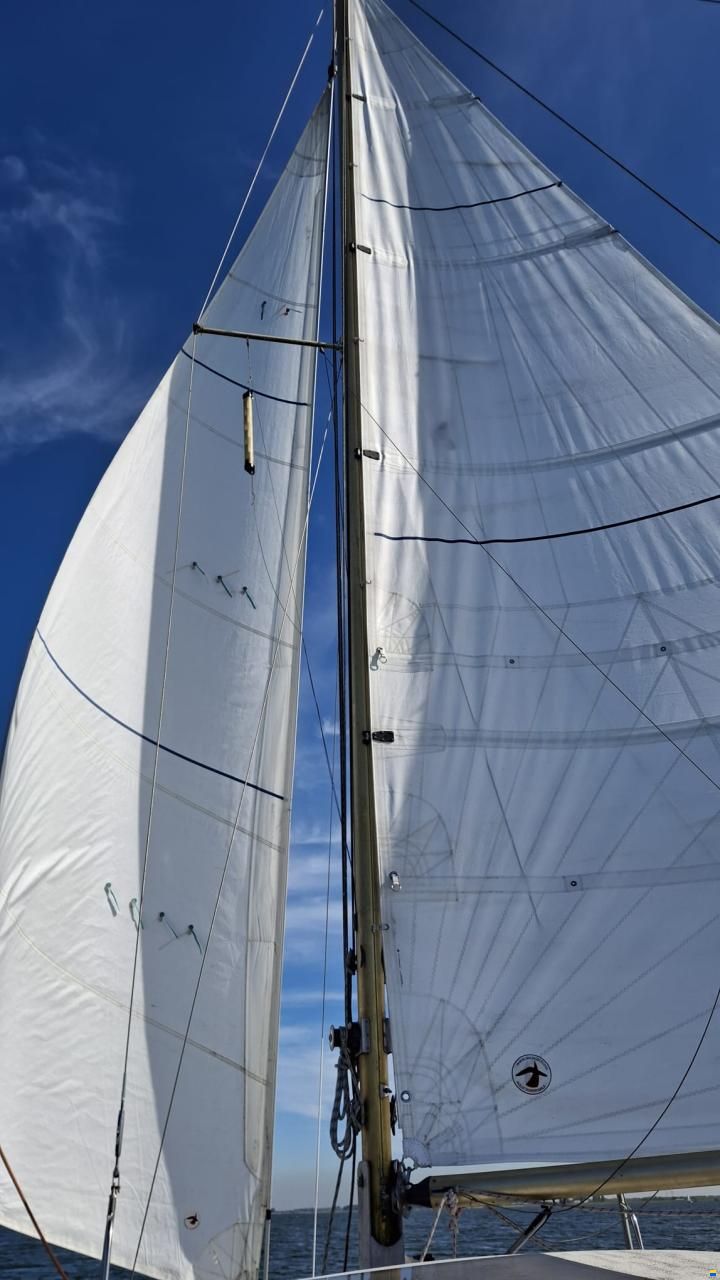 Catalac 8m
