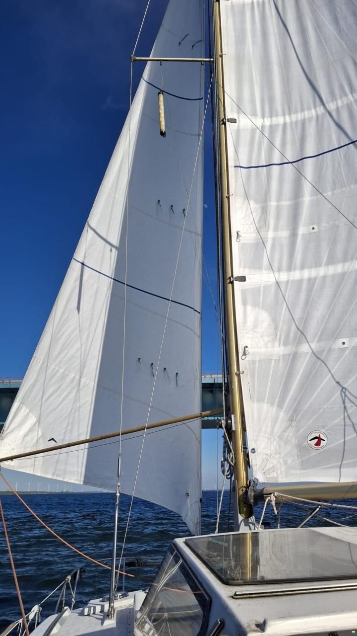 Catalac 8m