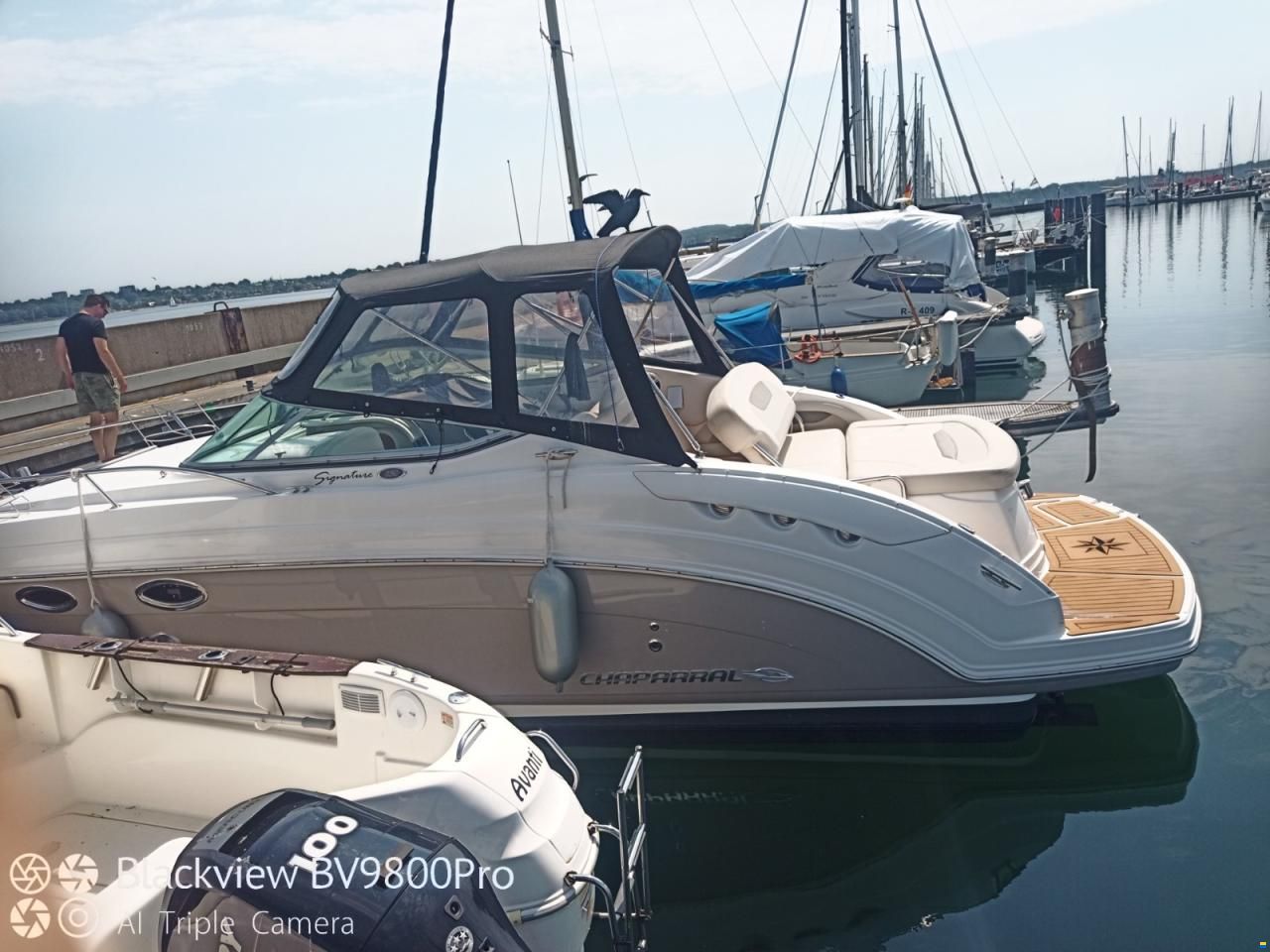 Chaparral 250 Signature