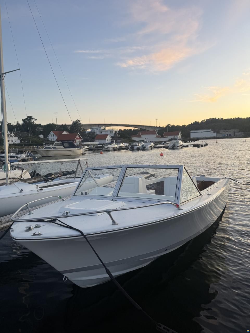 Bertram Moppie 20