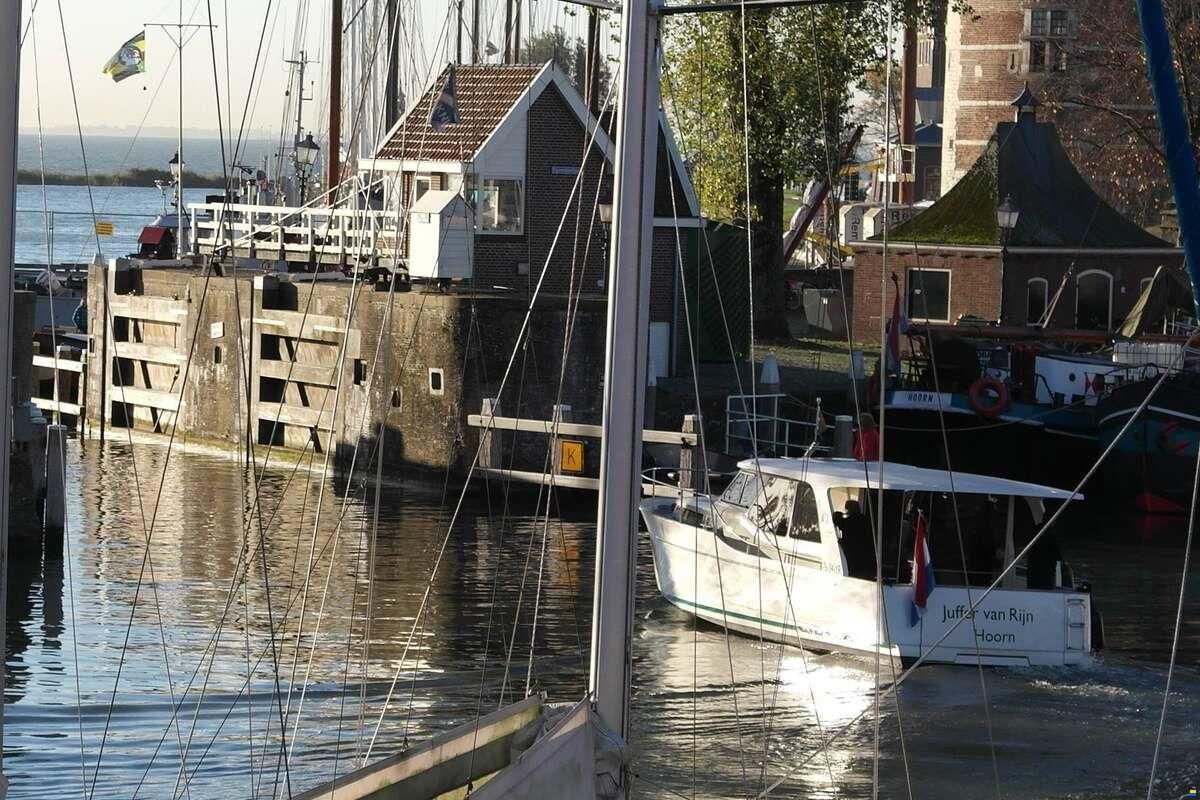 Greenline 33