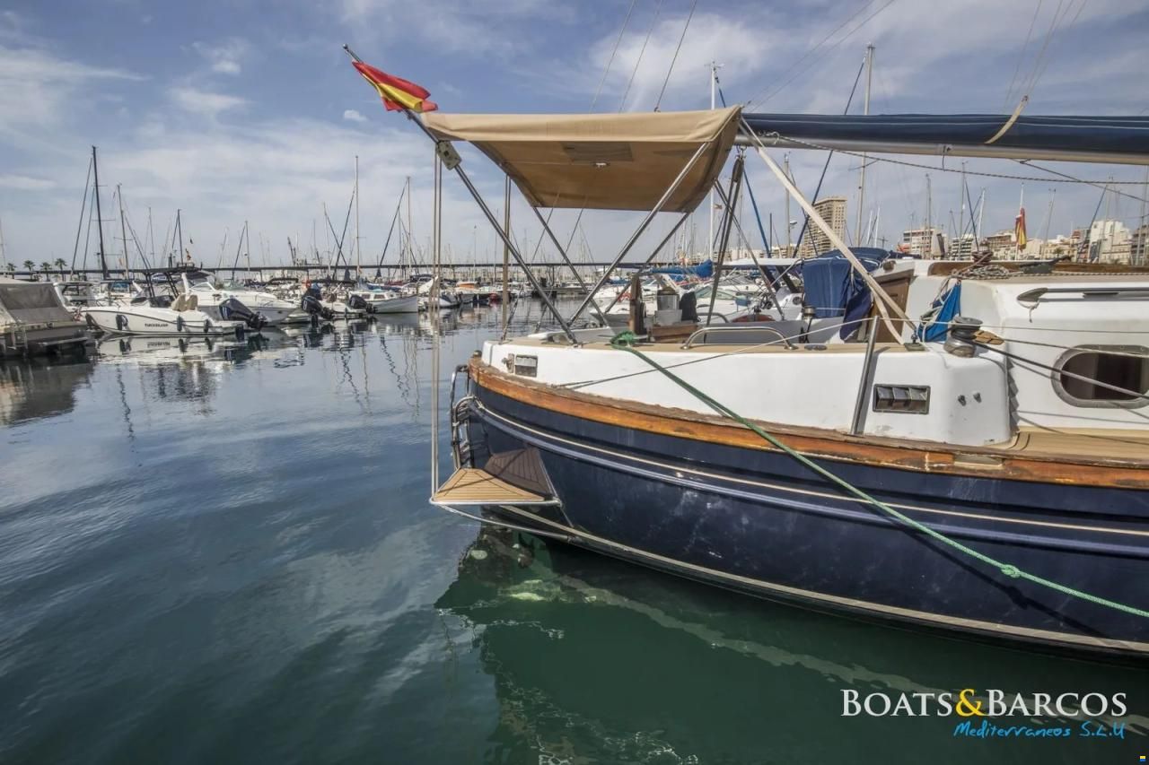 Myabca Delfin 31