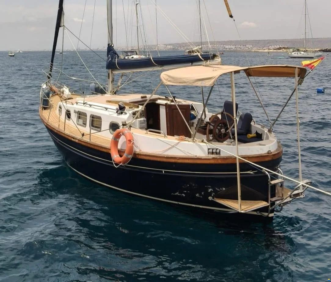 Myabca Delfin 31