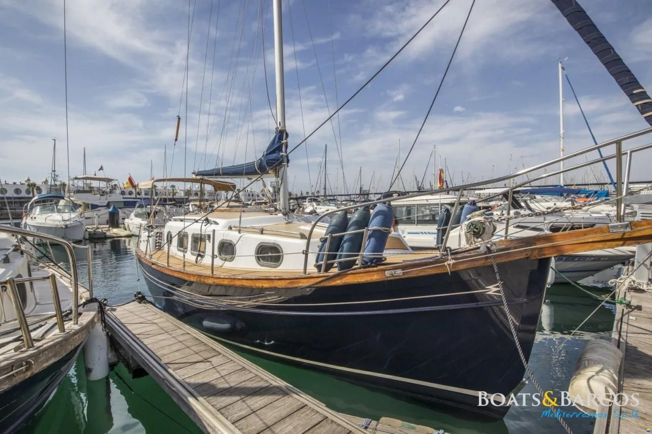 Myabca Delfin 31