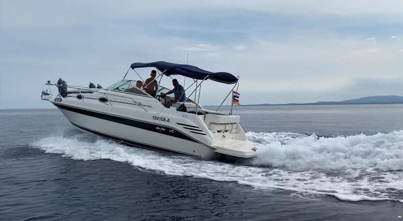 Sea Ray 250 Sundancer