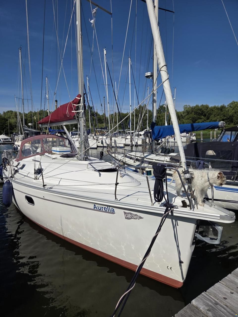 Gibert Marine Gib Sea 37