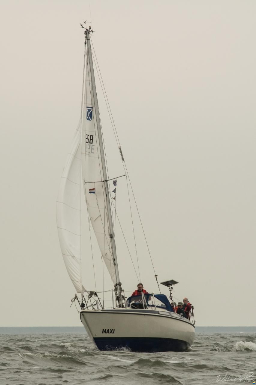 Maxi 84
