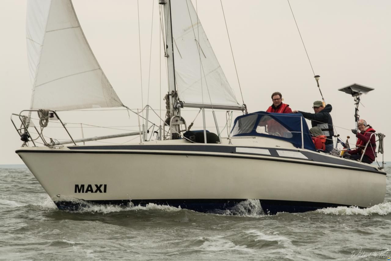 Maxi 84