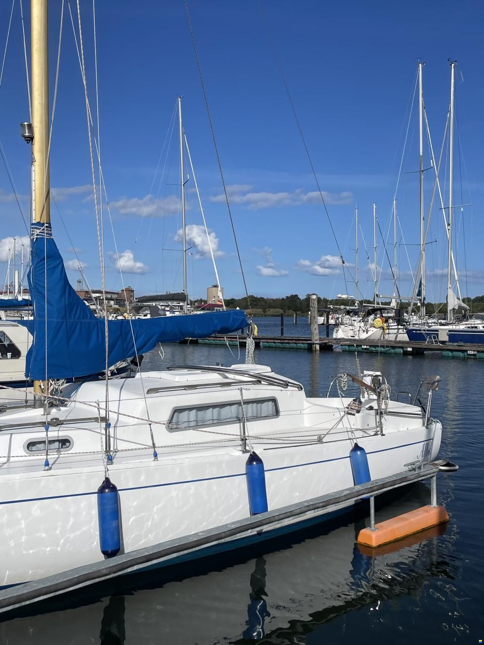 Albin Vega 27