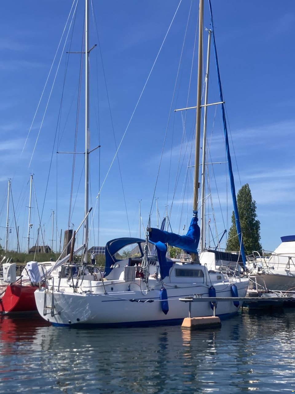 Albin Vega 27