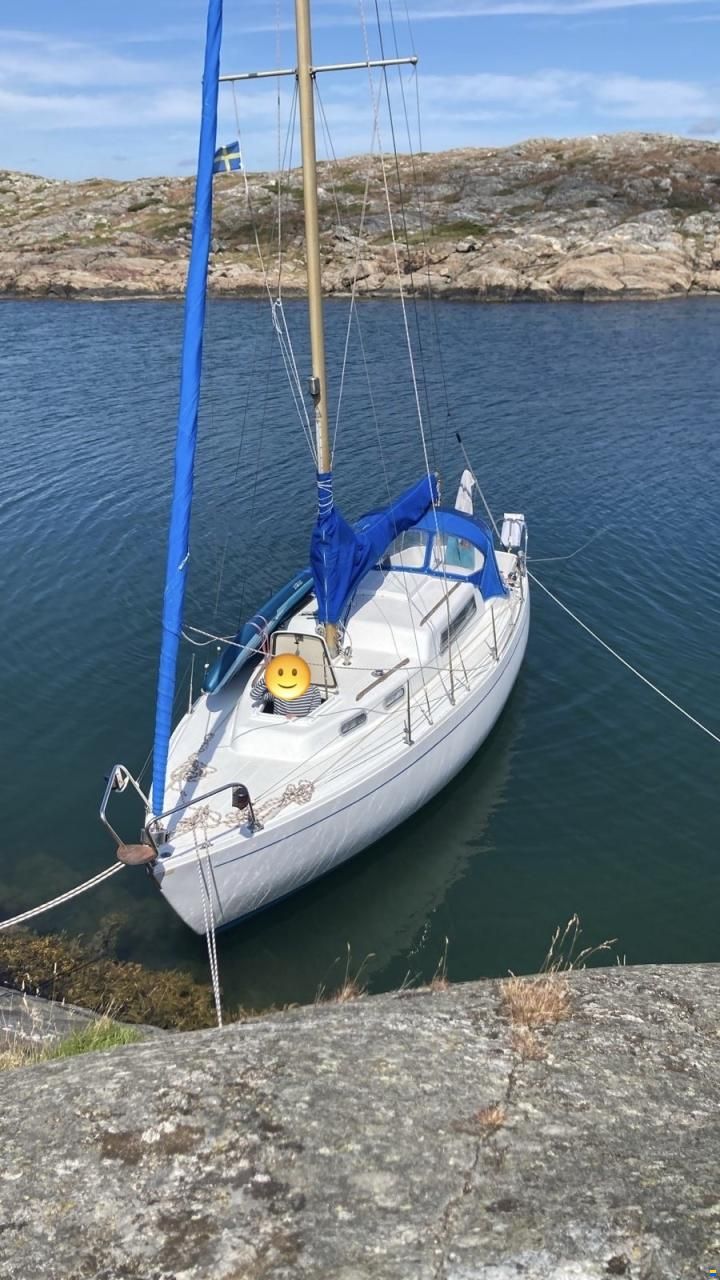 Albin Vega 27