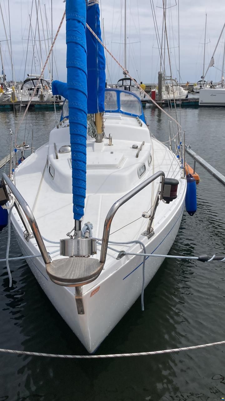 Albin Vega 27