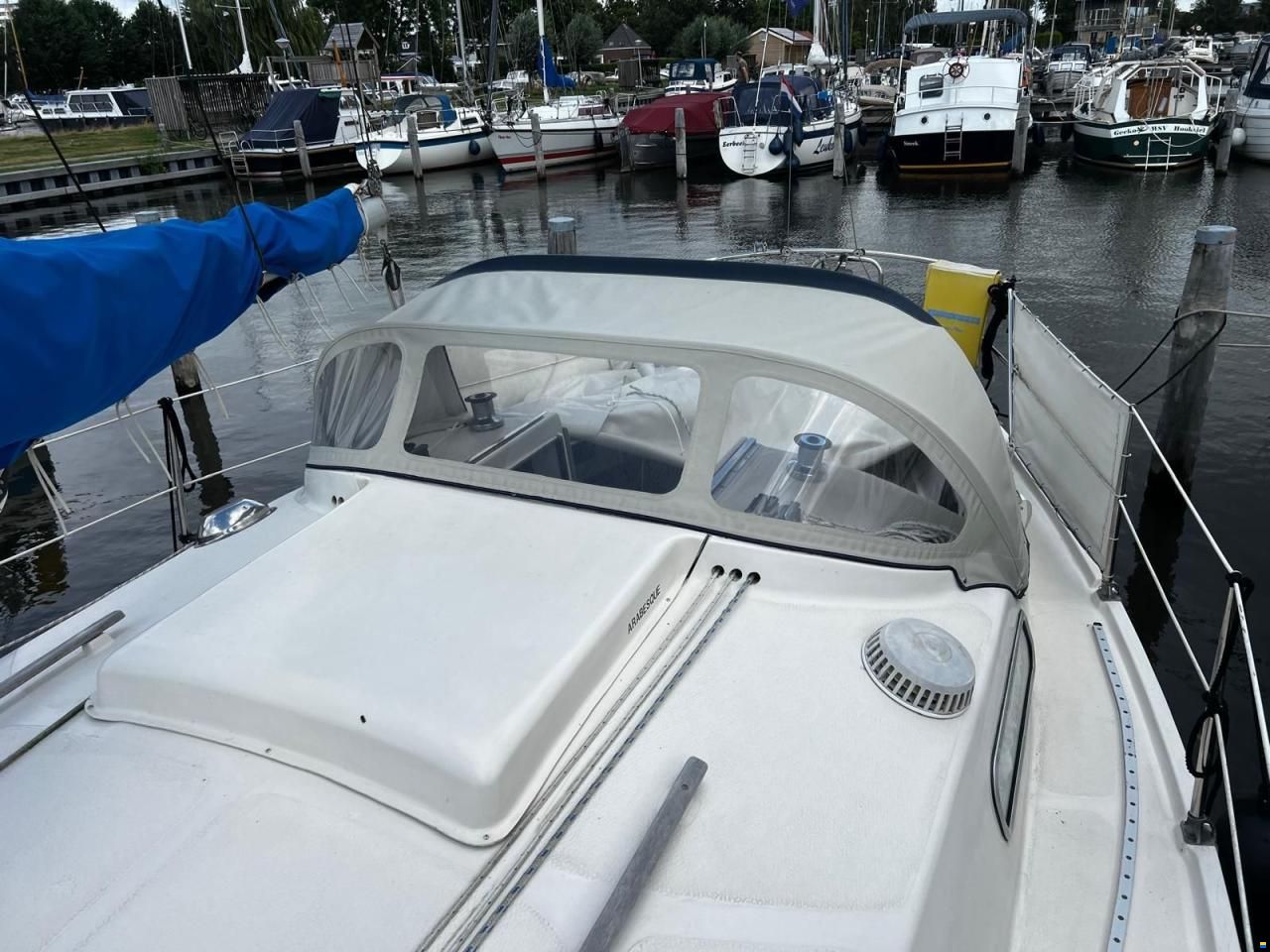 Arabesque 30