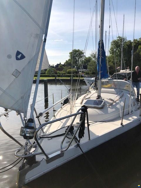 Arabesque 30