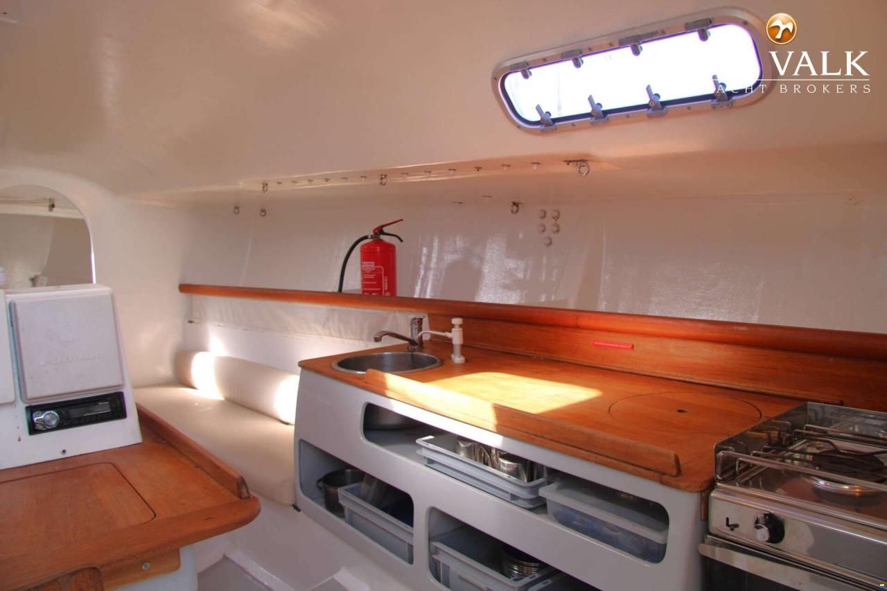 Pogo 40