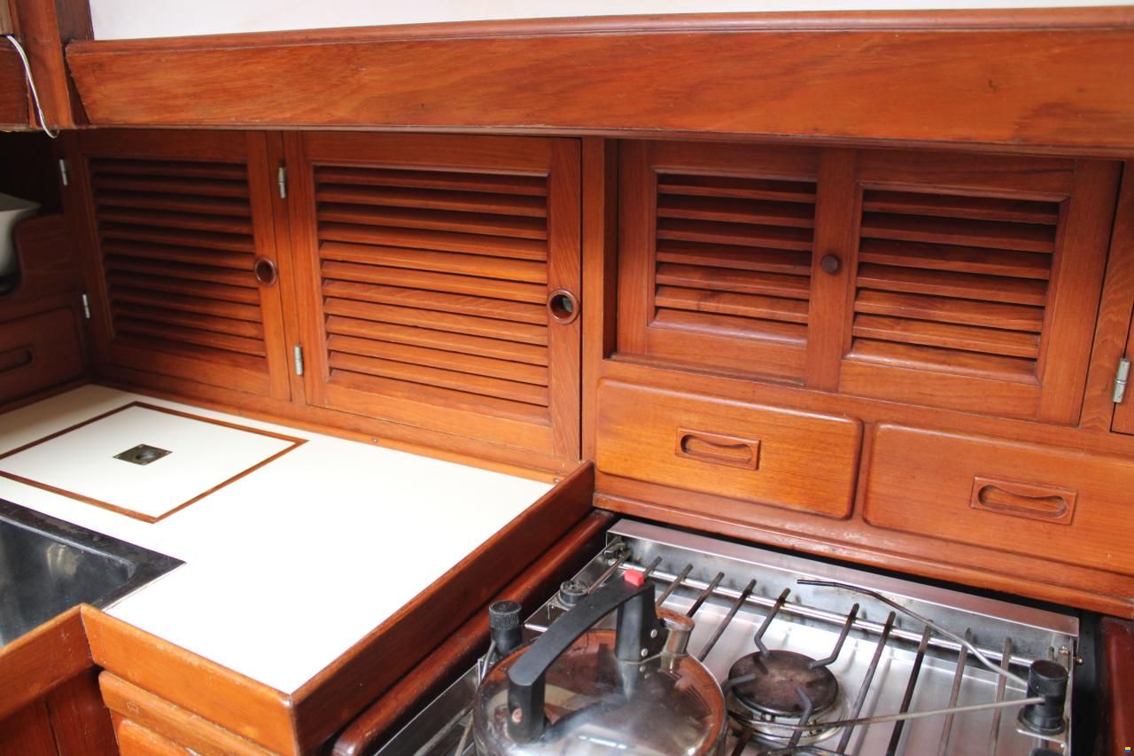 Tayana 37