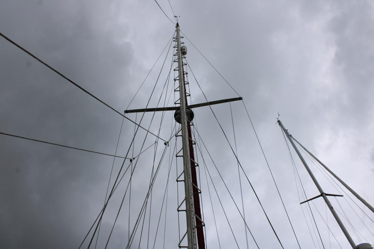 Tayana 37