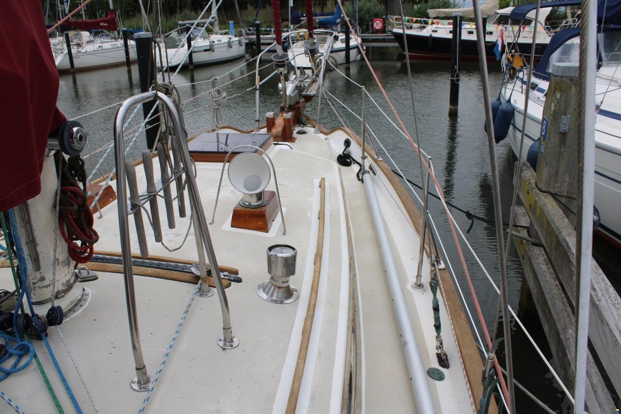 Tayana 37