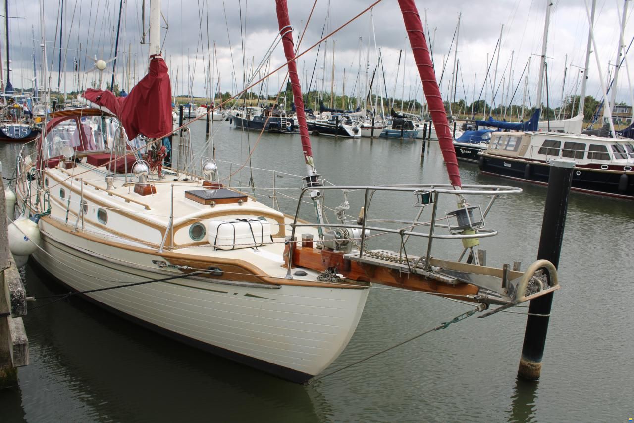 Tayana 37