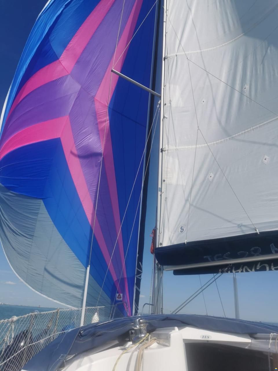 TES Dériveur Intégral TES28