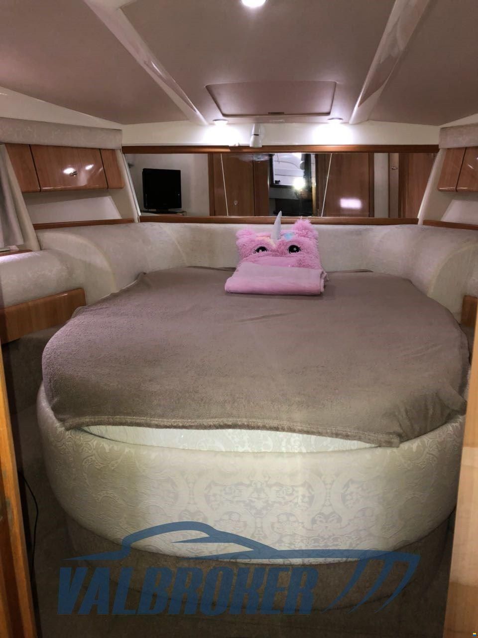 Sealine S 41