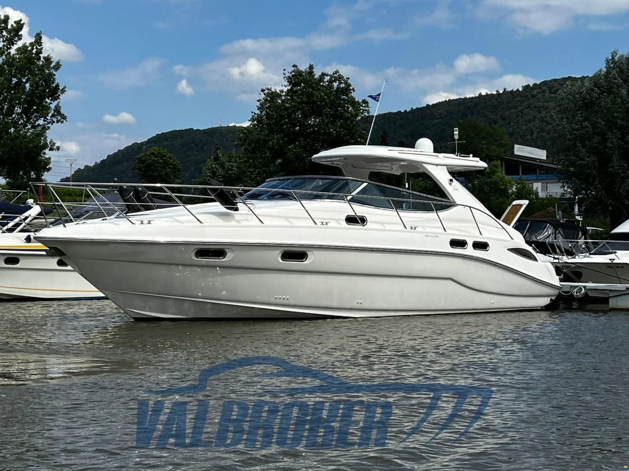 Sealine S 41