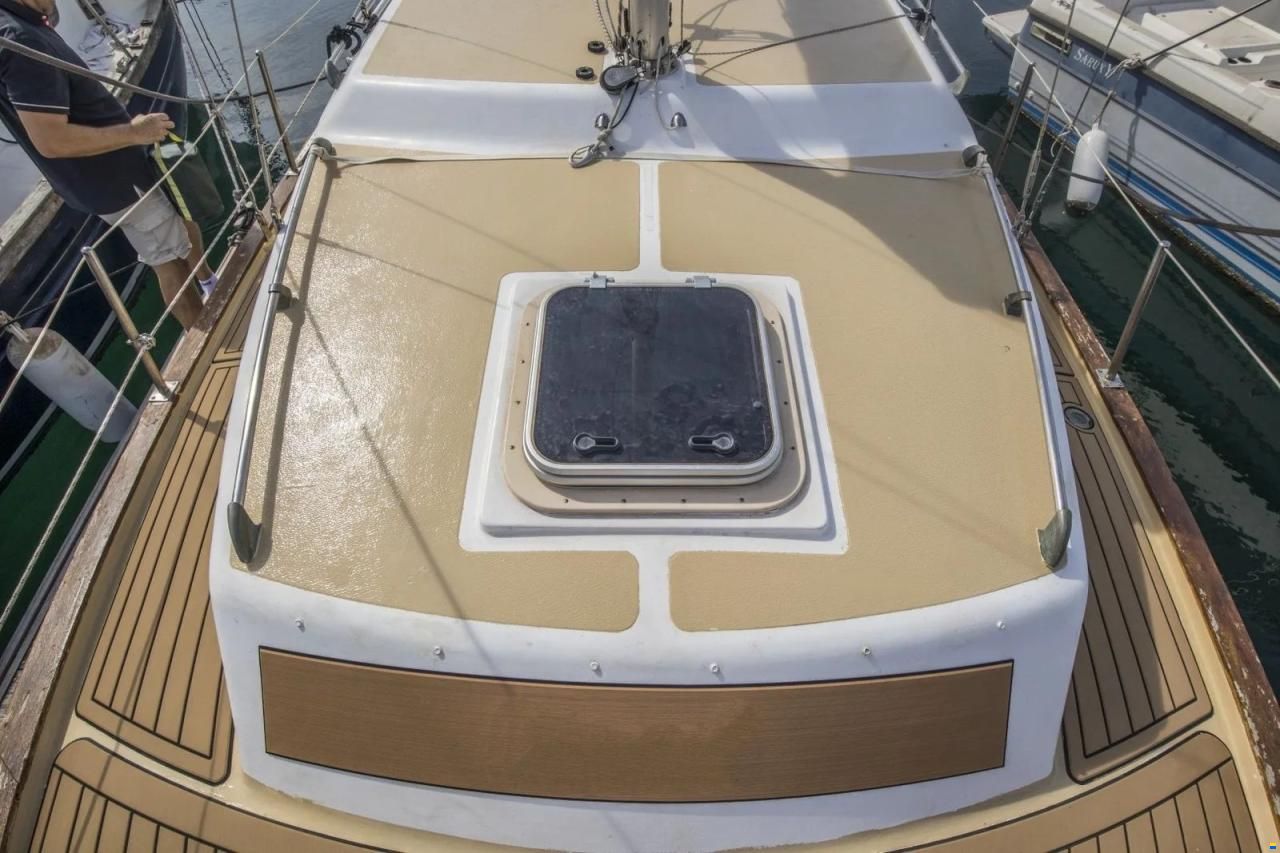 Myabca Delfin 31