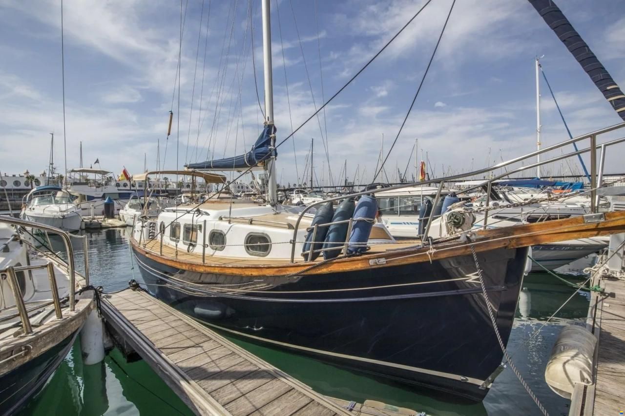 Myabca Delfin 31