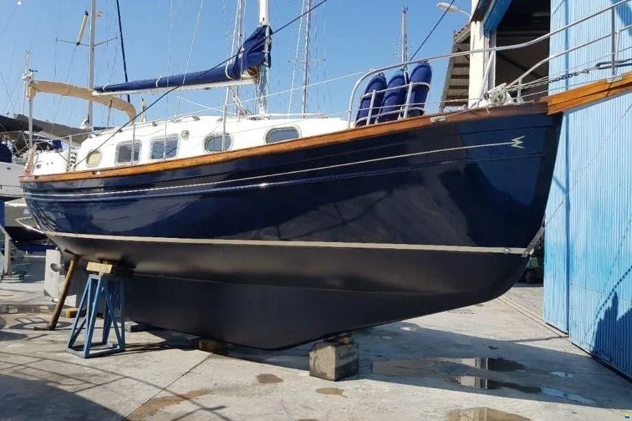 Myabca Delfin 31