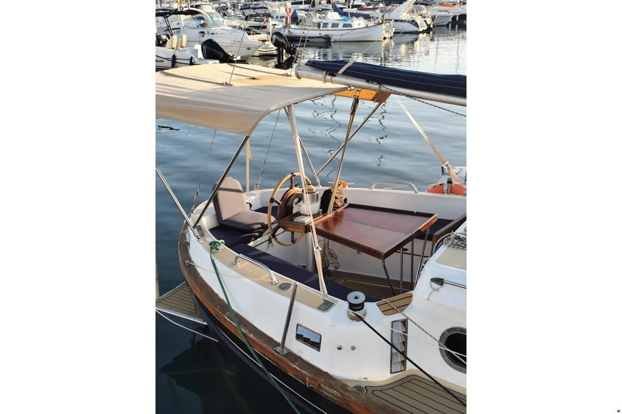 Myabca Delfin 31