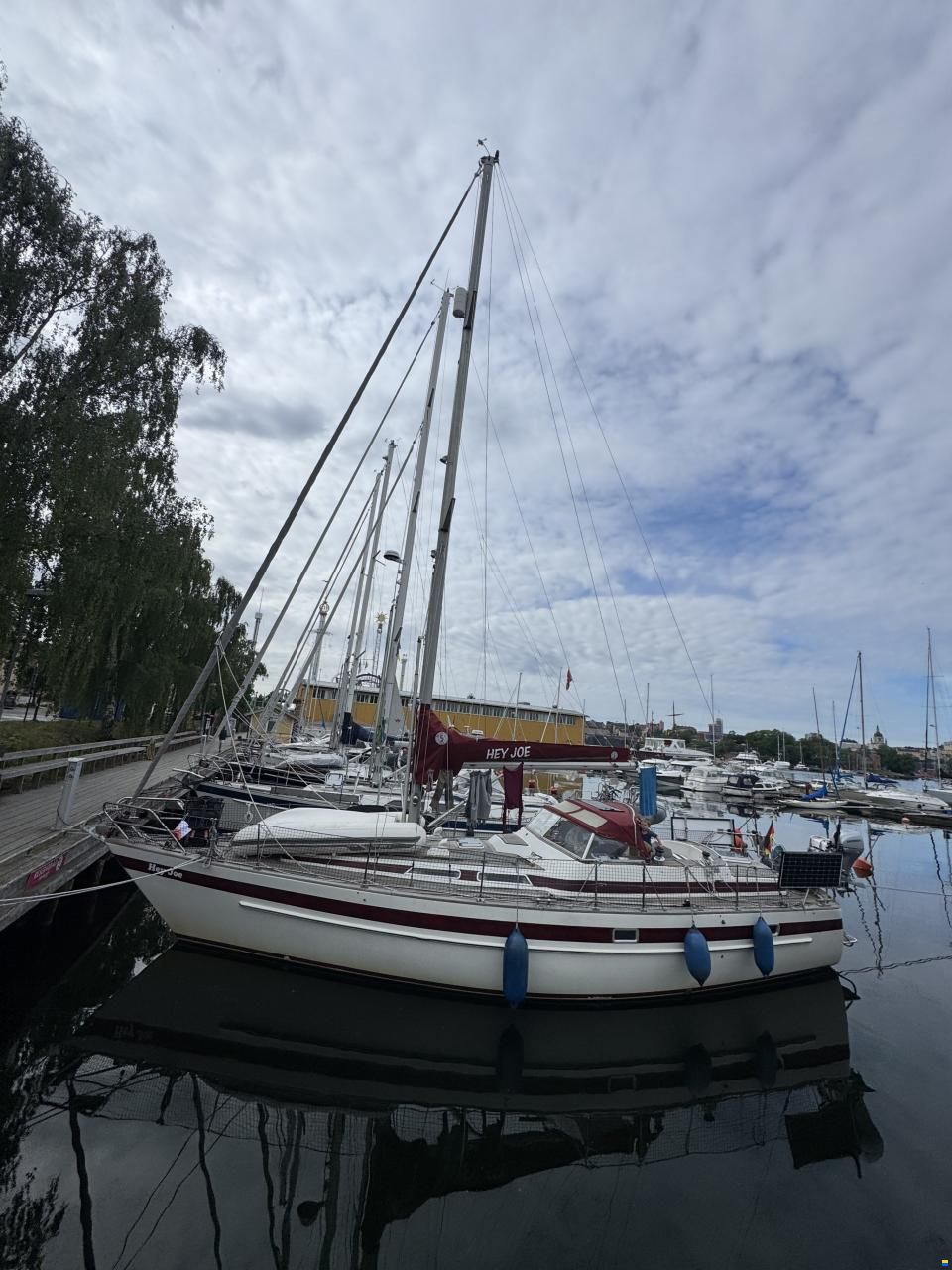 Rex Marin Aphrodite 40