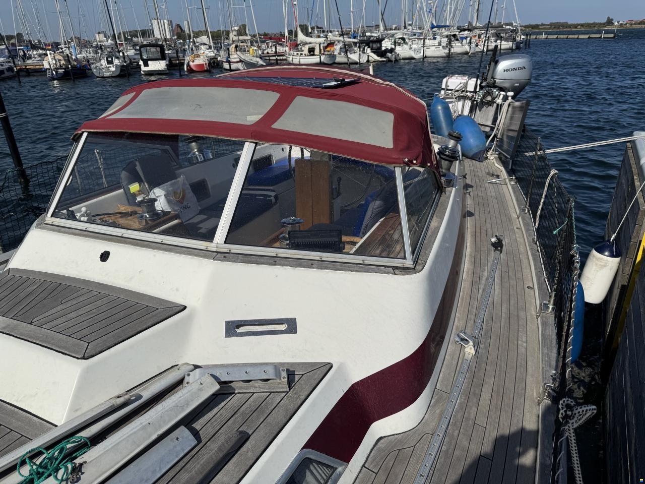 Rex Marin Aphrodite 40