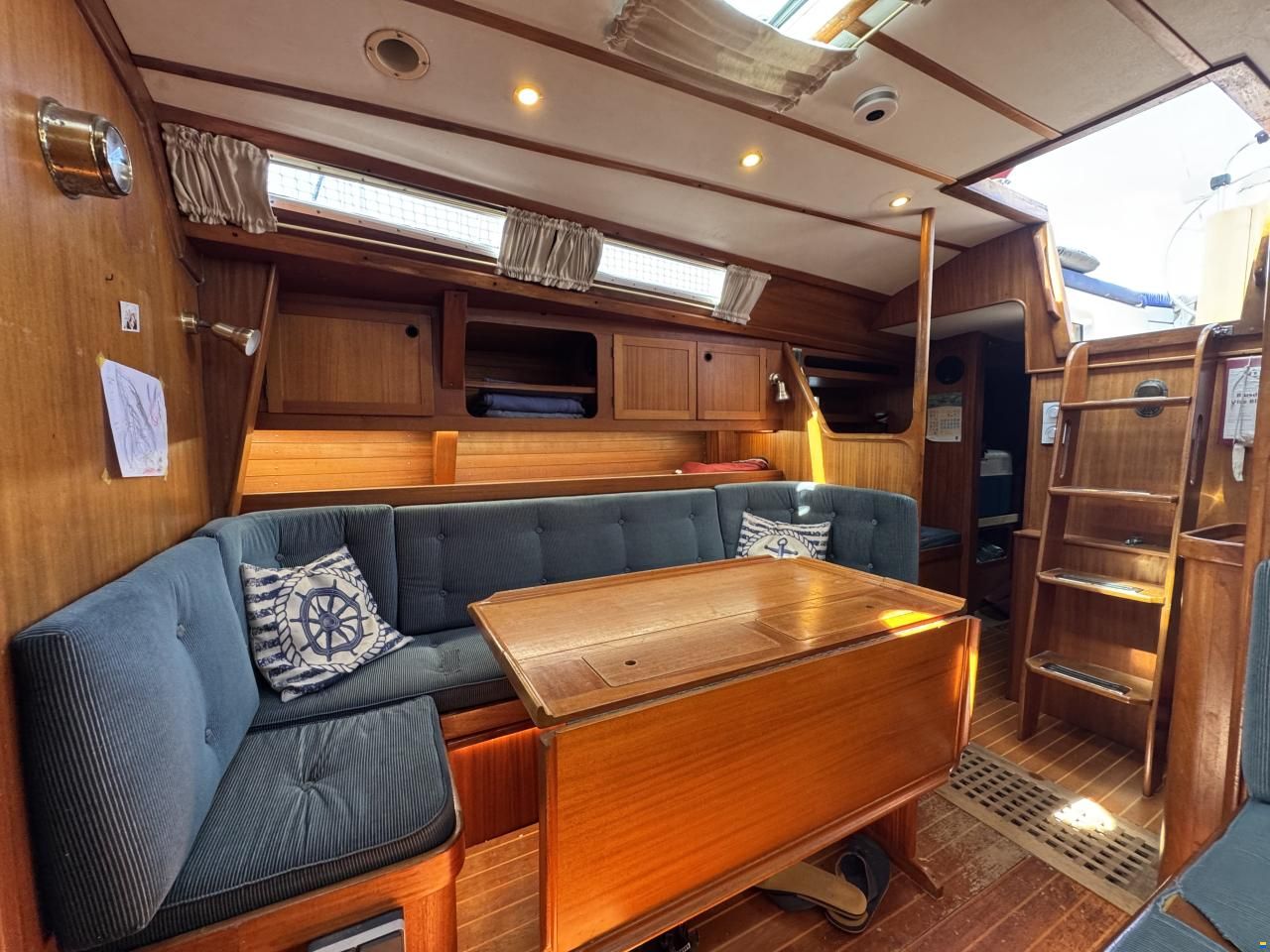 Rex Marin Aphrodite 40