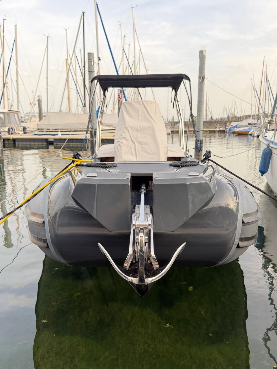 Pischel Ribline 6.5 GTO