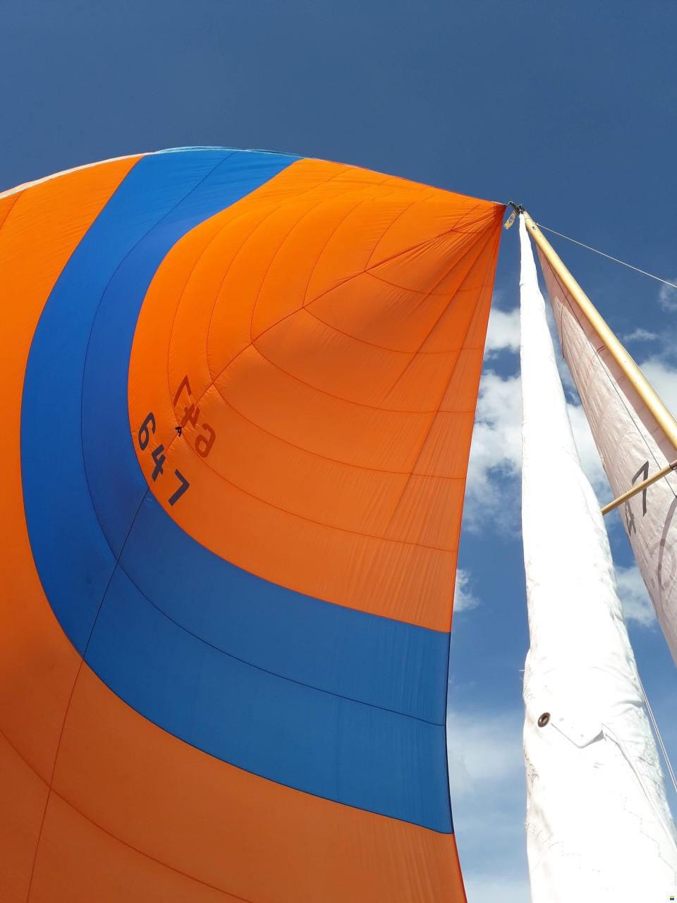 Wauquiez Centurion 32