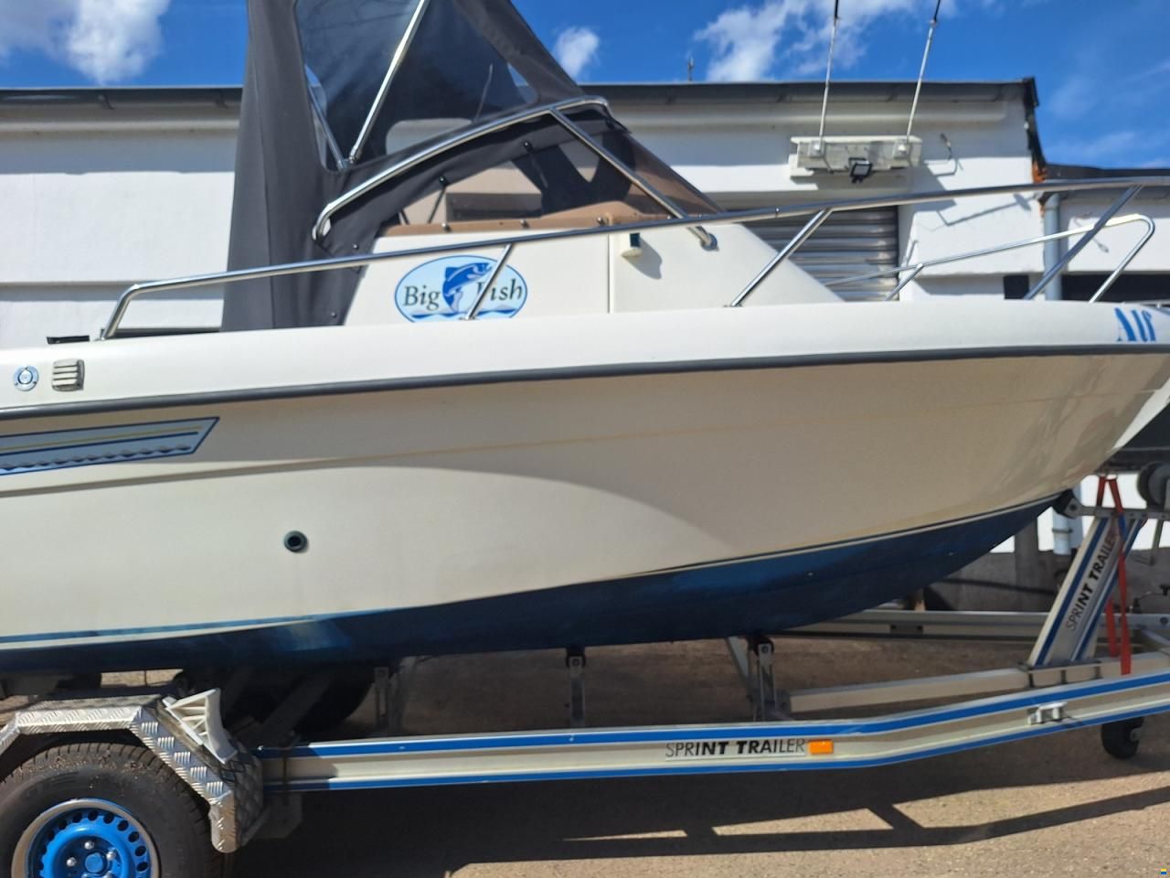 ryds bigfish 600 /70ps