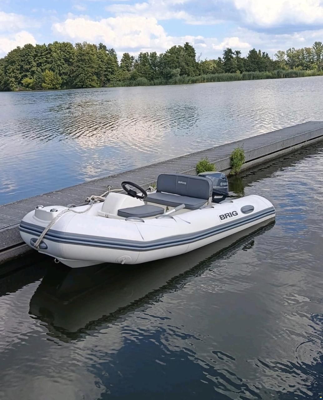 Brig Falcon 300 T