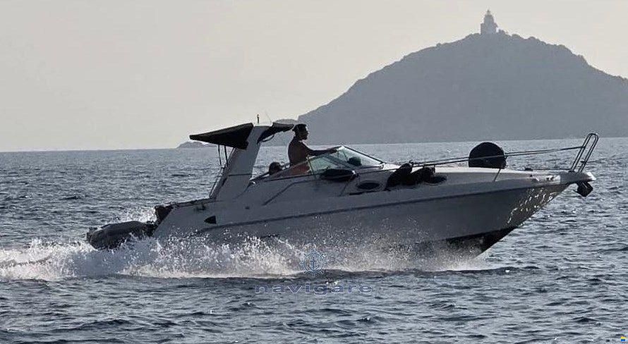 Sea Ray 250 Sundancer