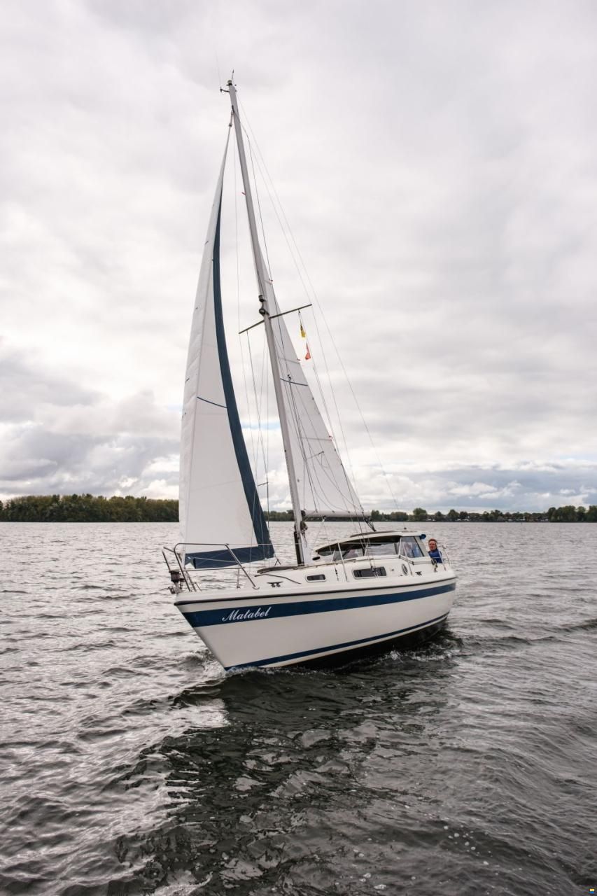 LM 28