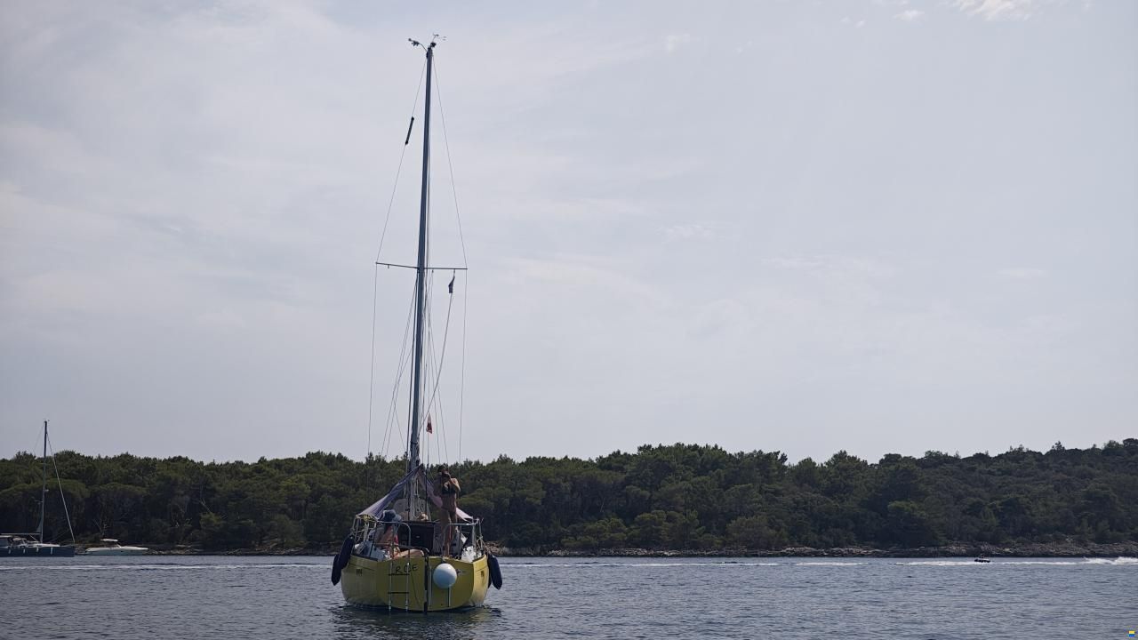 Neptun 27D