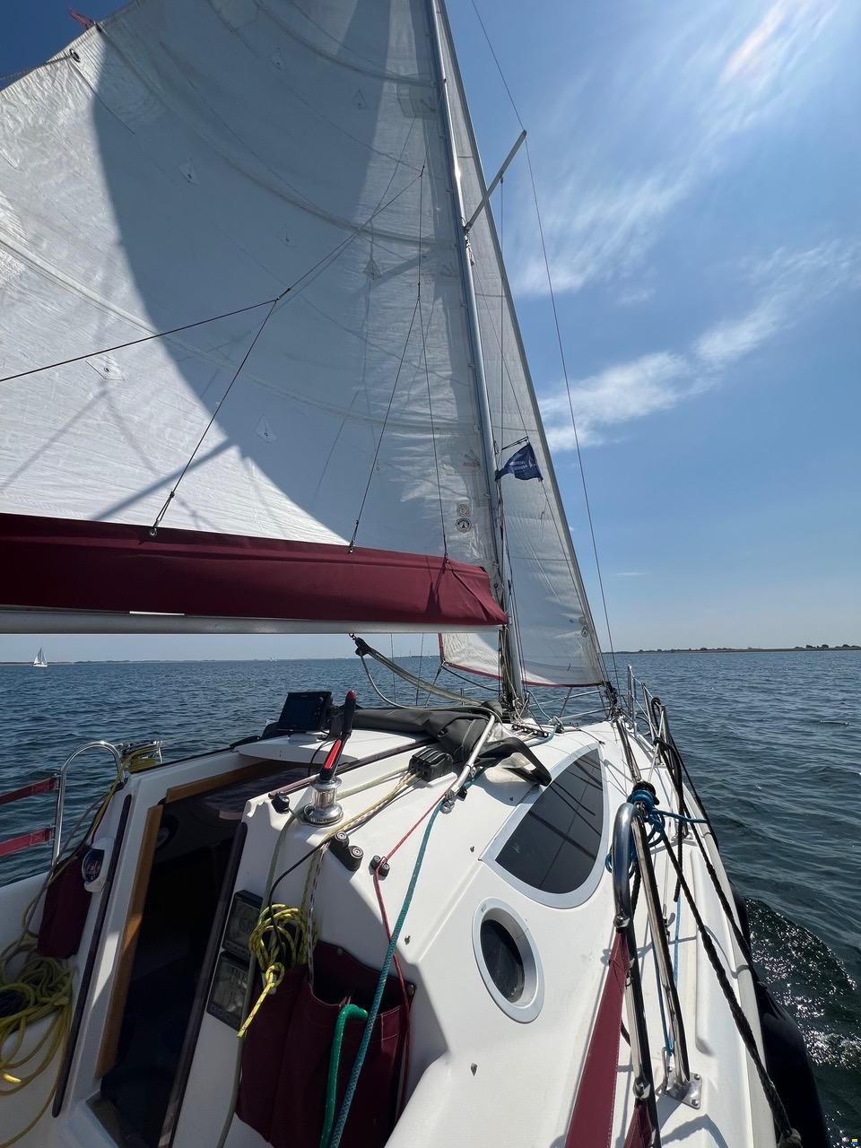 Maxus 24