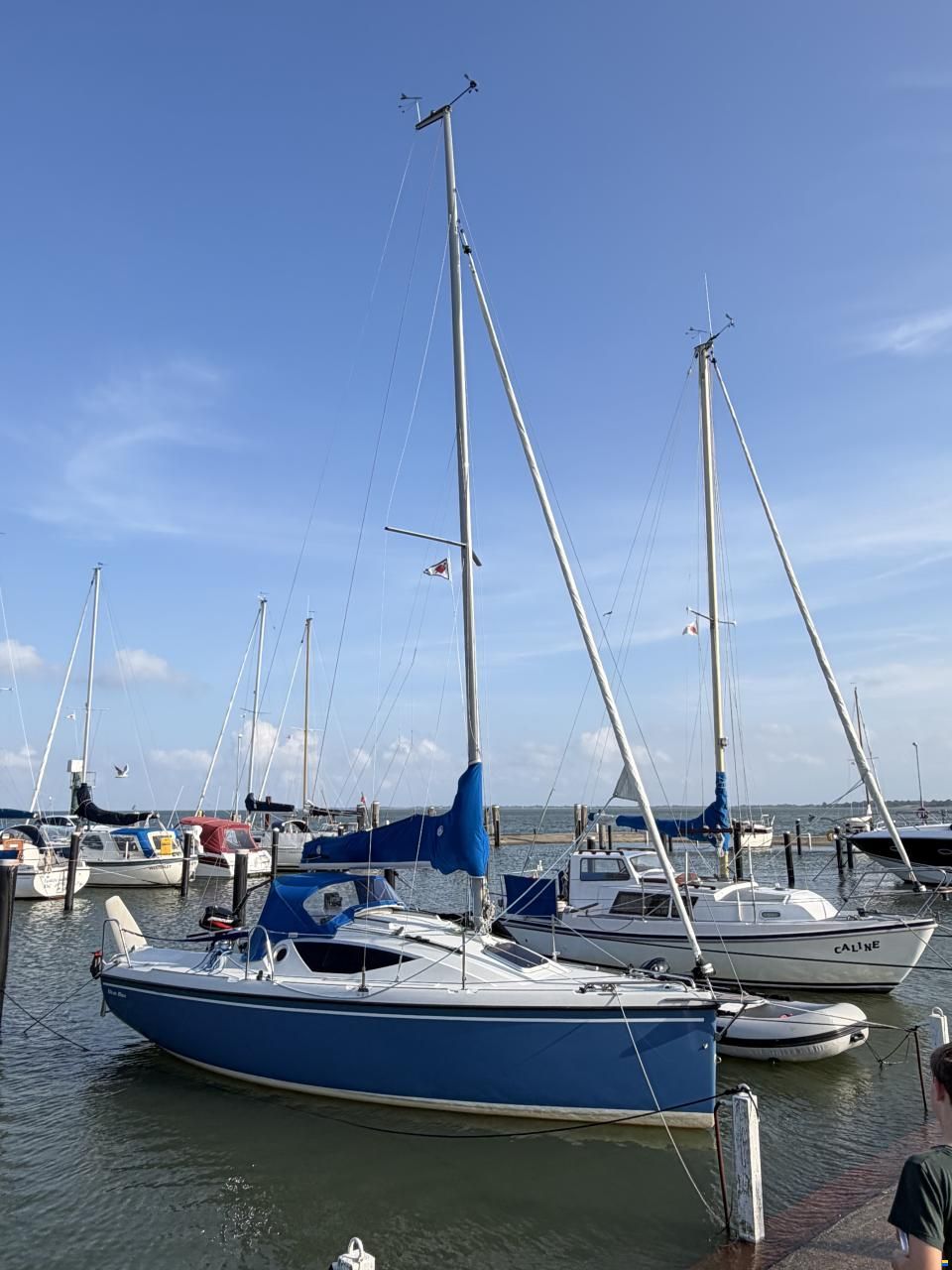 Maxus Sport 22